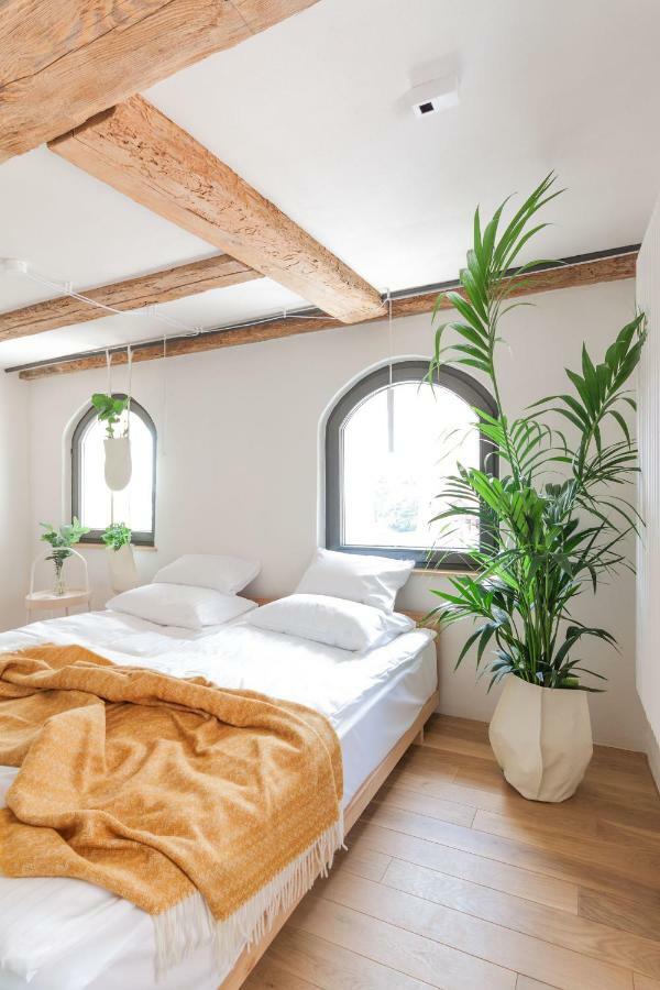 Apartamenty Monka Stary Toruń Eksteriør billede